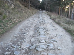 Camino Puricelli