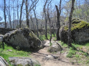 camino piedras
